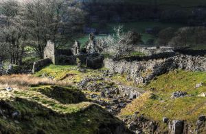 Swaledale 4 sm.jpg